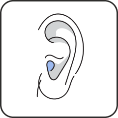 ear