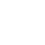 x-icon